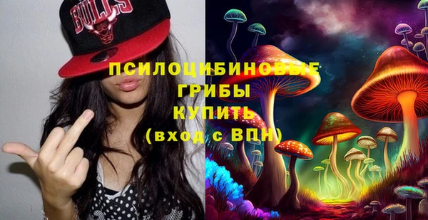 бошки Белокуриха