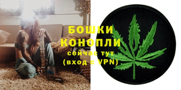 бошки Белокуриха