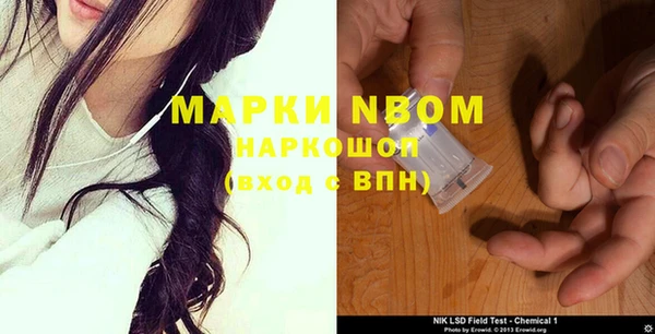 бошки Белокуриха