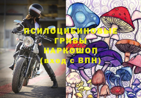 амф Белоозёрский