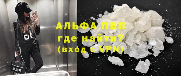 бошки Белокуриха