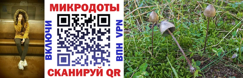 Псилоцибиновые грибы Magic Shrooms  МЕГА вход  Очёр 