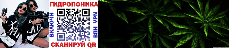 Каннабис VHQ  Очёр 